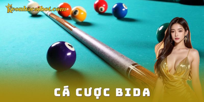 Cá cược bida và sức hút của trò chơi