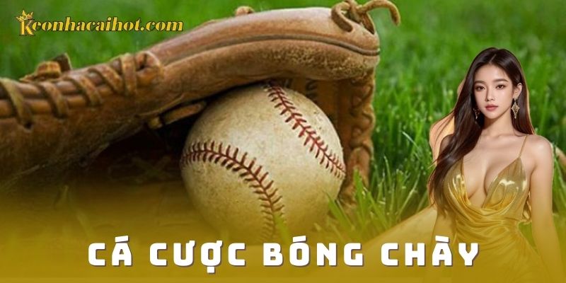 Cá cược bóng chày kèo nhà cái