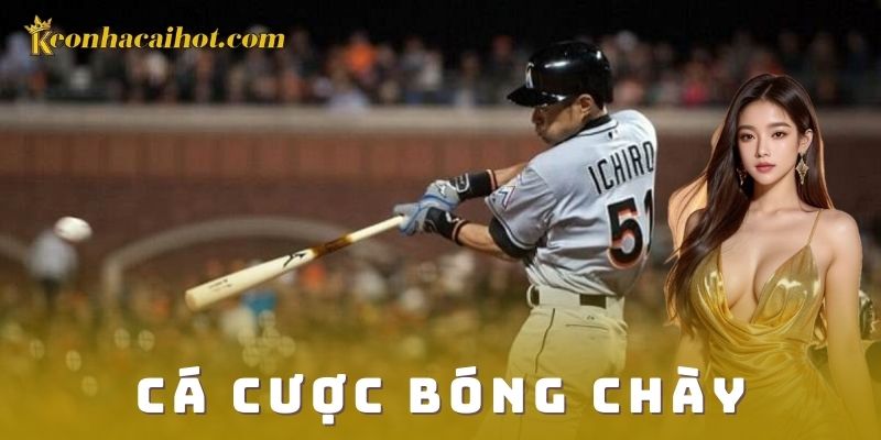 Khái quát về cá cược bóng chày