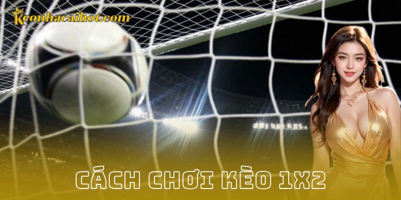 Khi nào chọn cửa nào