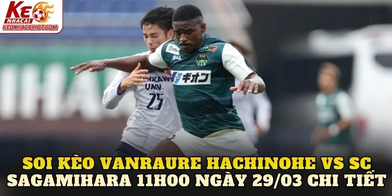 Soi kèo Vanraure Hachinohe vs SC Sagamihara 11h00 ngày 29/03 chi tiết