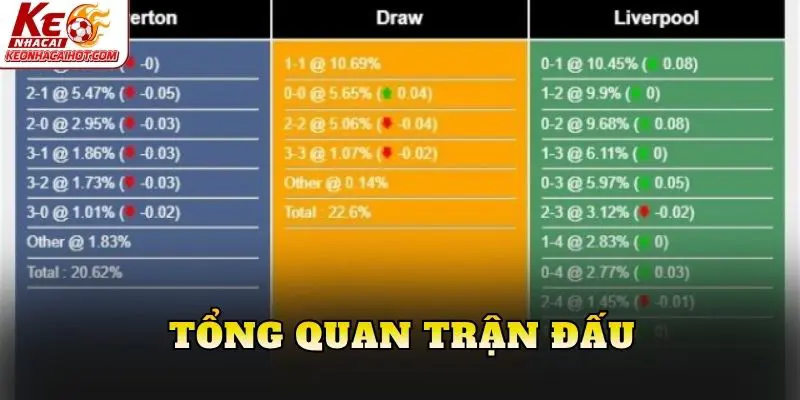 Tổng quan trận đấu