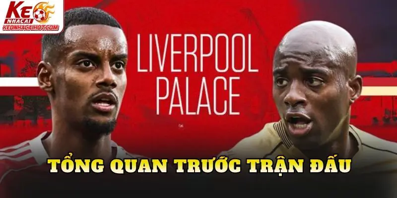 Tổng quan trước trận đấu