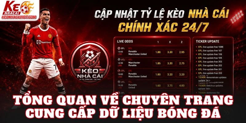 Tổng quan về chuyên trang cung cấp dữ liệu bóng đá